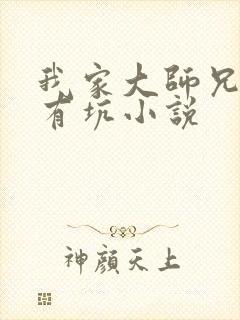 我家大师兄脑子有坑小说