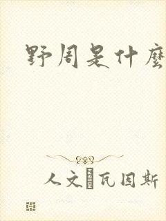 野周是什么意思