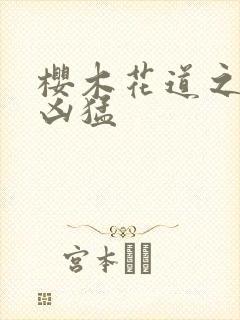 樱木花道之重生凶猛