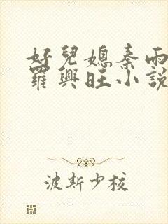 好儿媳秦雨罗明罗兴旺小说