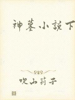 神墓小说下载
