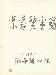 爸爸的小心肝儿小说免费阅读