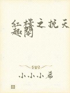 红楼之挽天倾笔趣阁