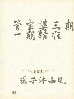 管家婆三期必开一期精准