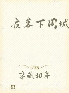 夜幕下同城网