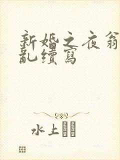 新婚之夜翁莹情乱续写