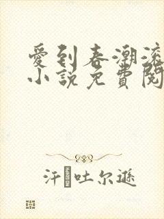 爱到春潮滚滚来小说免费阅读