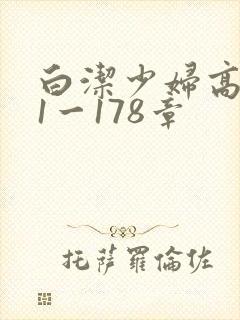白洁少妇高义第1一178章