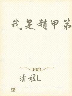 我是赵甲第小说