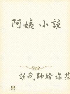 阿姨 小说