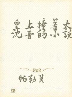 皇上撞着太子妃沈音的小说叫什么