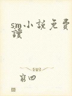 sm小说免费阅读