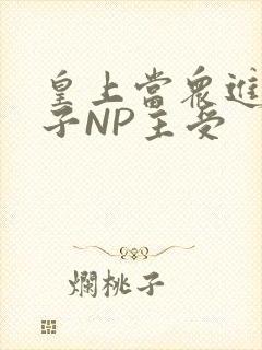 皇上当众进入太子NP主受