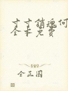 寸寸销魂何生祥全本免费