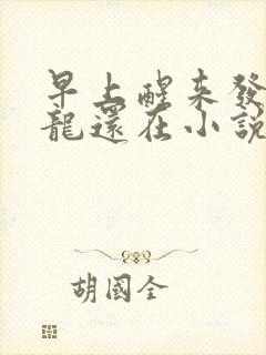 早上醒来发现巨龙还在小说