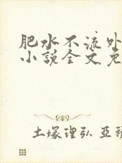 肥水不流外人田小说全文免费阅读1