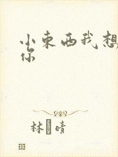 小东西我想弄坏你