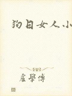 狗日女人小说