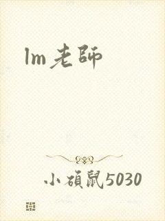 lm老师