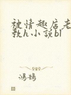 被情趣店老板调教h小说bl