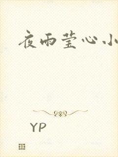夜雨莹心小说