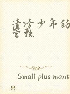 清冷少年的严厉管教