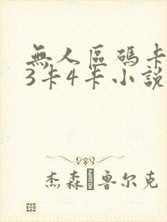 无人区码卡二卡3卡4卡小说