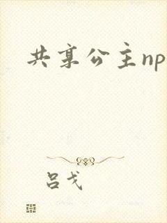 共享公主npc