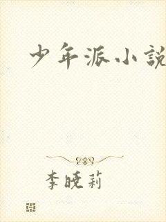 少年派小说