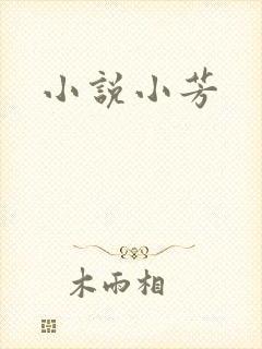 小说小芳