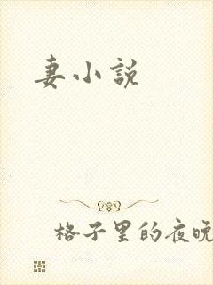 妻小说