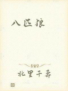 八匹狼