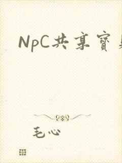 NpC共享宝贝
