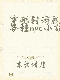 穿越到游戏里和各种npc小说