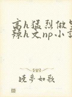 高h猛烈做哭高辣h文np小说