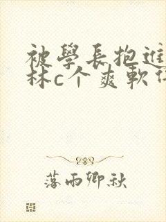 被学长抱进小树林c个爽软件