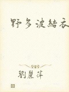 野多波结衣