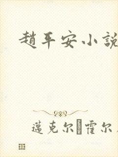 赵平安小说主角