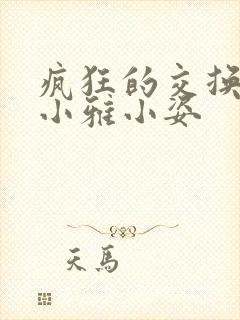 疯狂的交换小静小雅小姿