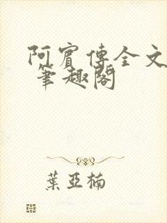 阿宾传全文阅读 笔趣阁