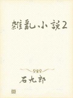 杂乱小说2
