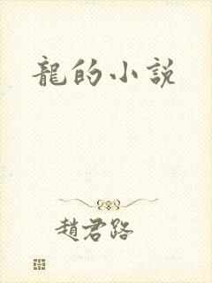龙的小说