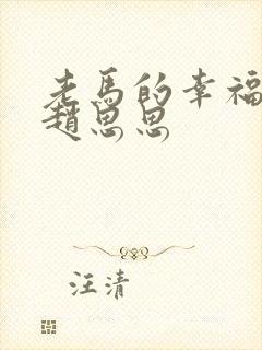 老马的幸福生活赵思思