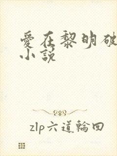 爱在黎明破晓前小说