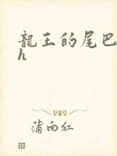 龙王的尾巴高ah