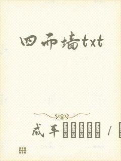 四面墙txt