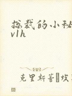 总裁的小秘书1v1h