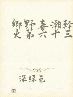 乡野春潮干柴烈火第六十三章