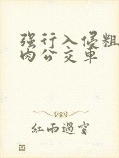 强行入侵粗暴h肉公交车