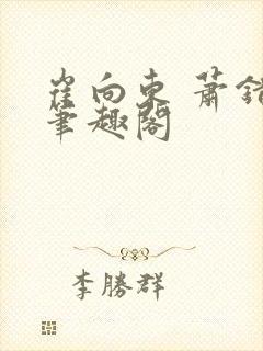 崔向东 萧错 笔趣阁